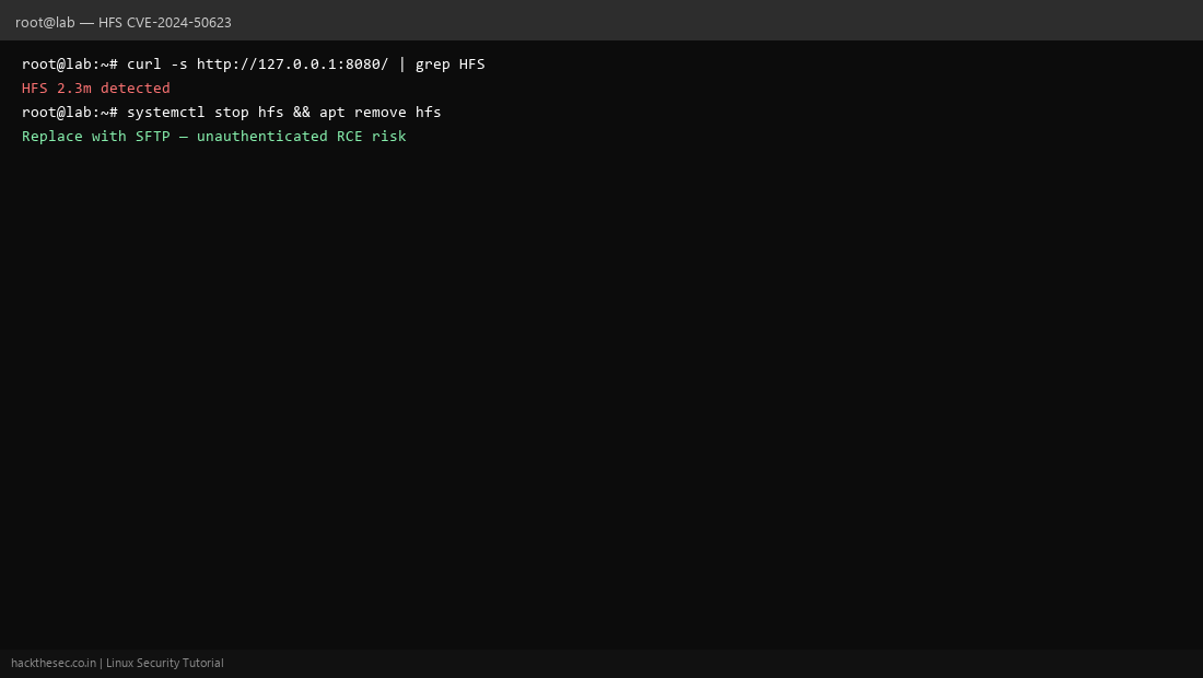 HTTP File Server version check for CVE-2024-50623
