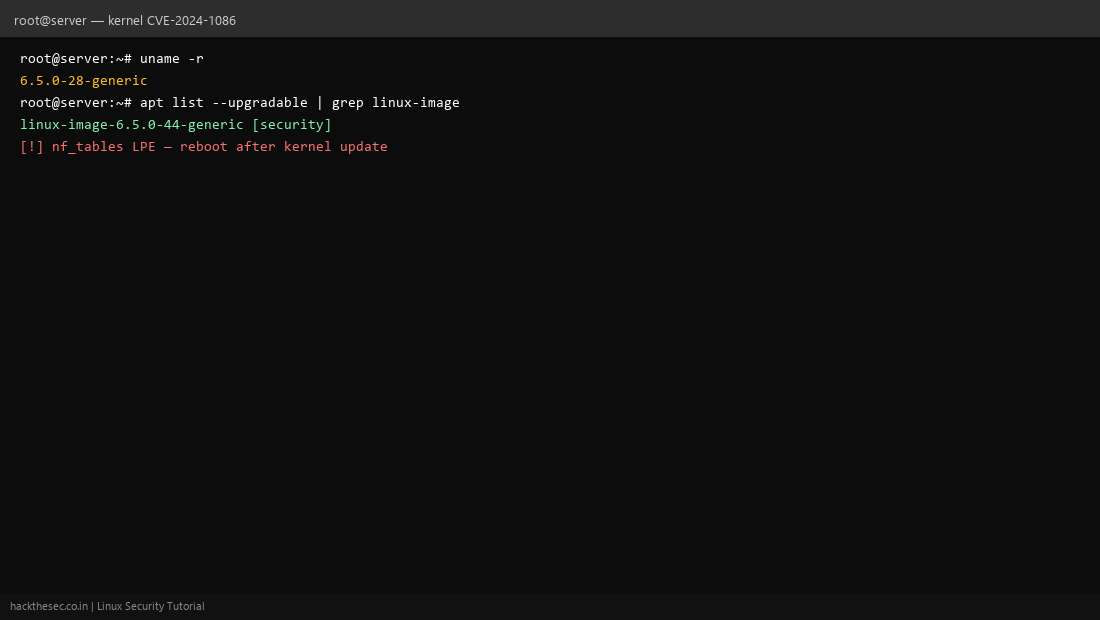Linux kernel and nftables version check for CVE-2024-1086