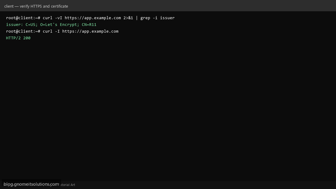 Verifying Traefik automatic Let's Encrypt certificate issuance