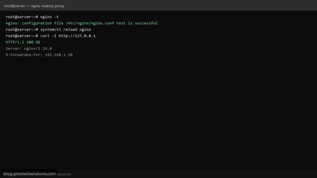 nginx reverse proxy linux linux-nginx-proxy.png