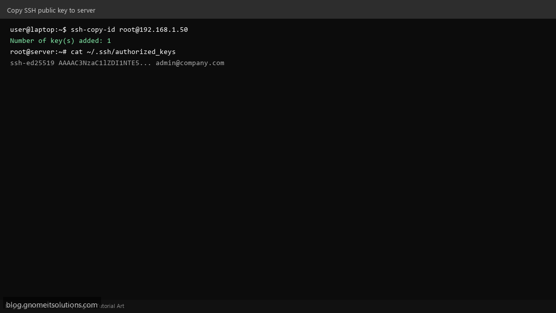ssh-copy-id copy public key to server