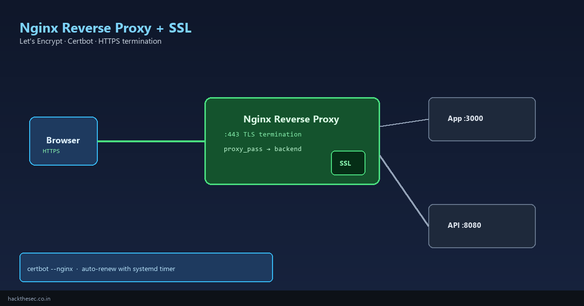 Nginx reverse proxy diagram showing HTTPS traffic terminated at Nginx and forwarded to backend applications